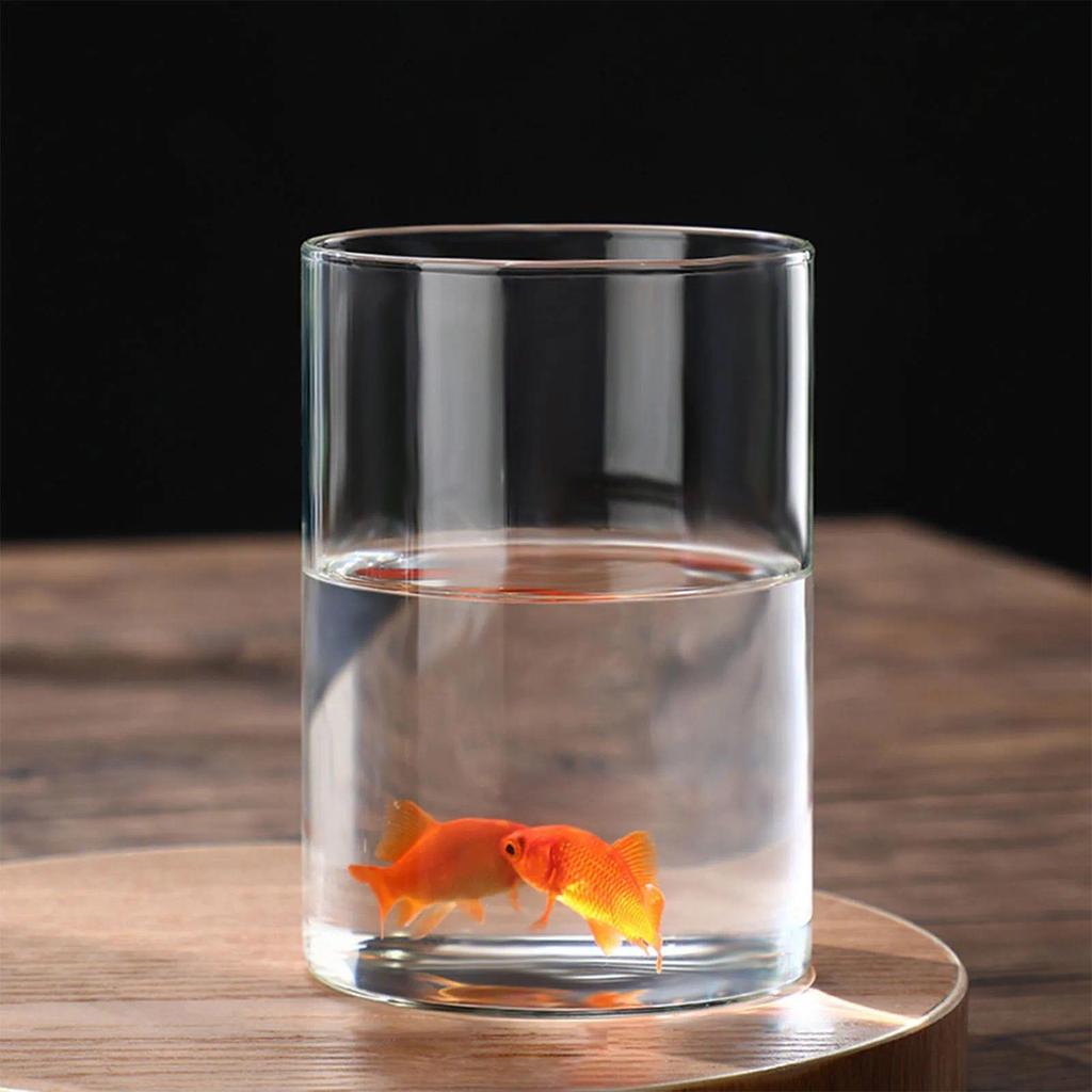 Transparent Glass Hydroponic Vase Minimalist Glass Vase Cylinder Flower Vase for Home Office Wedding