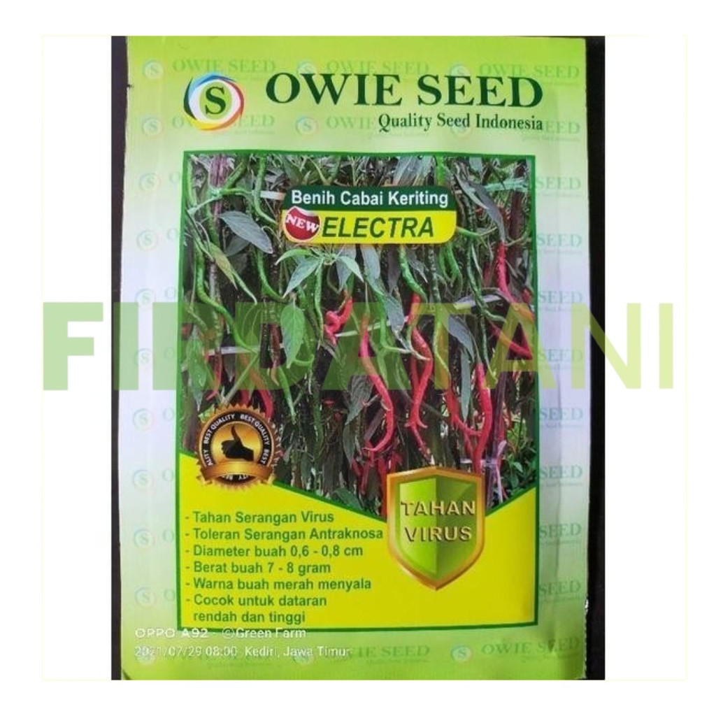 Benih Cabe Electra Owie Seed 15gr Perawatan Mudah dan Disukai Pasar
