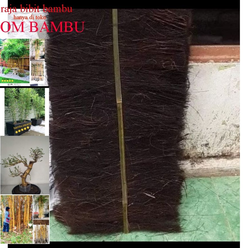 injuk tempat telur ikan mas dll