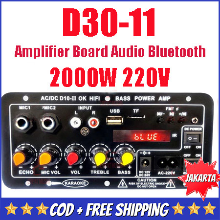 D10 II 1000W Bluetooth Amplifier Board Karaoke 8-12Inci HIFI BASS Speaker AC 220V 12V 24V Suara Ster