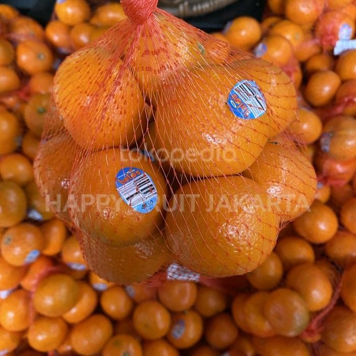 

jeruk afourer australia/ jeruk super segar tampa biji 1 kg