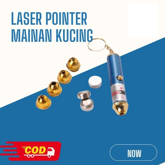 ASS LASER POINTER JARAK JAUH / LASER MAINAN KUCING / LASER PENUNJUK PRESENTASI FREE BATERAI