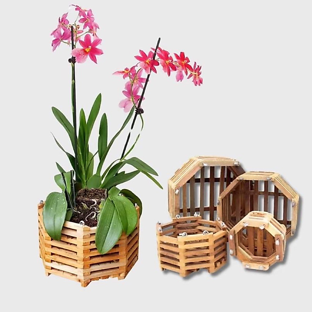 Pot Kayu Anggrek 13cm/Pot Anggrek Kayu Murah/Pot Kayu
