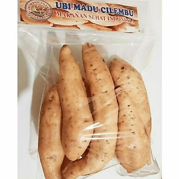 UBI MADU CILEMBU SEGAR FRESH / UBI JALAR LEGIT MANIS