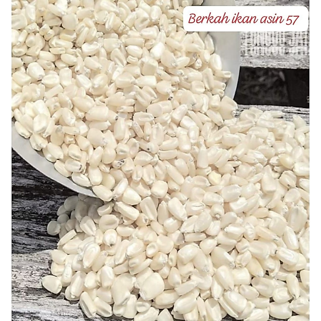 1klo JAGUNG PUTIH KETAN PULUT kering MENTAH,bahan bubur dan nasi jagung