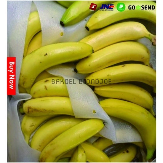 

PISANG SUN PRIDE BERAT 500gr / CAVENDISH / BANANA / FRESH FRUIT / FRUIT / BUAH BUAHAN SEGAR