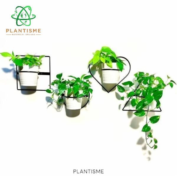 Rak Tanaman - Ontura Wall Planter Shape Dudukan Besi Geometris Penahan Pot Tempel Tembok Dinding Dek