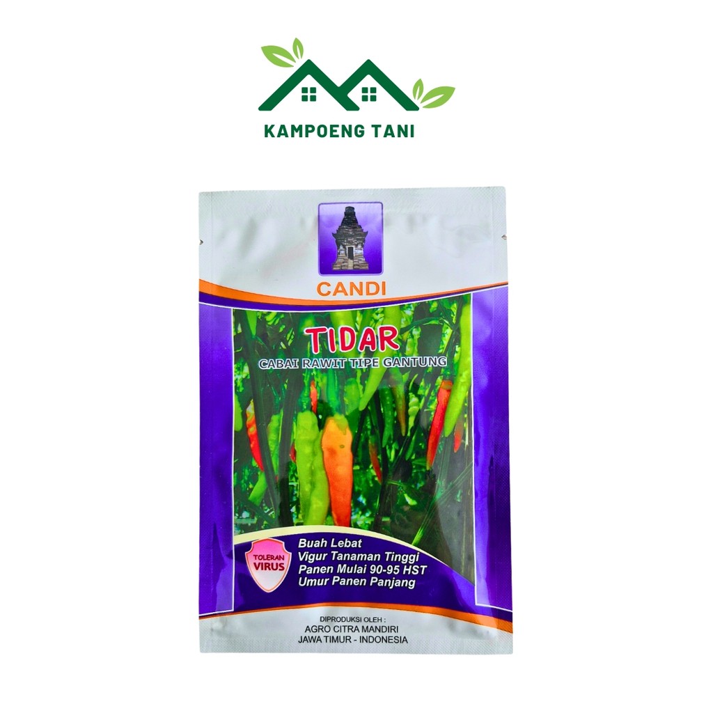 Cabe Tidar Kemasan 10gr Tahan Virus Original Pabrik