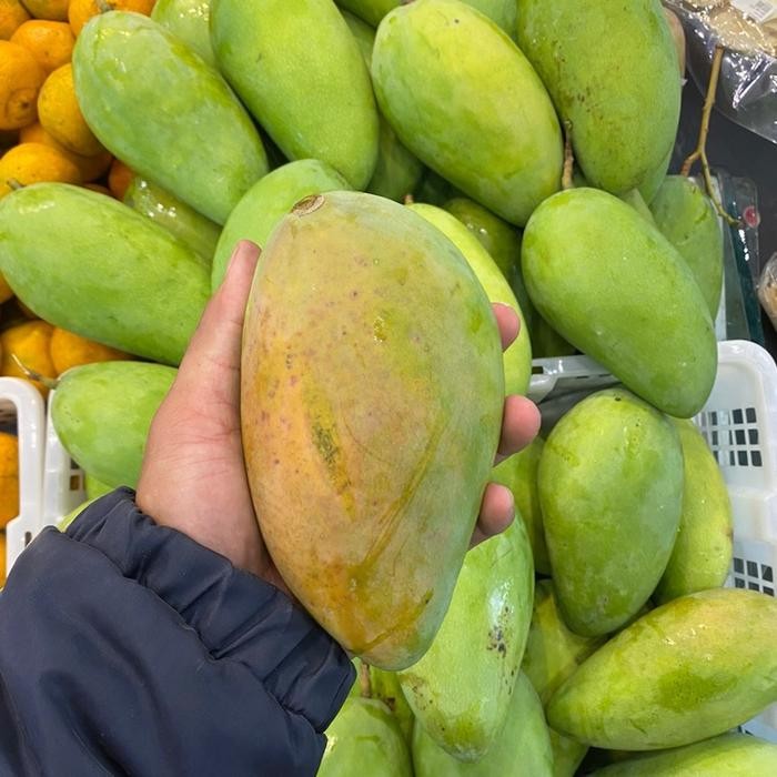 

Mangga kiao Jay Thailand garing Manis / mangga rujak garing 1 kg