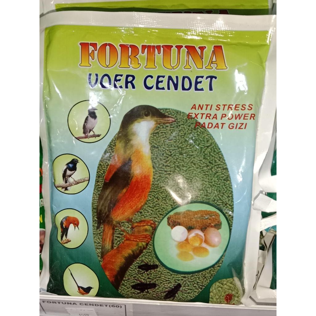 fortuna cendet pakan cendet gacor pur voer burung cendet