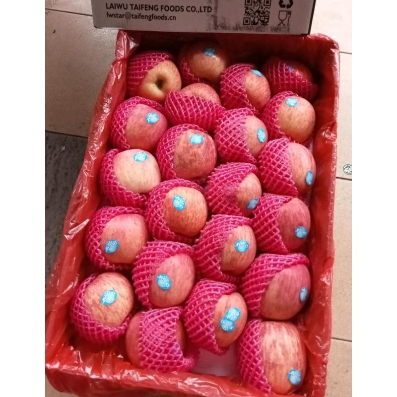 

Indukbuah Apel Fuji 1 Dus karton 17kg isian 88 100 125 138 163