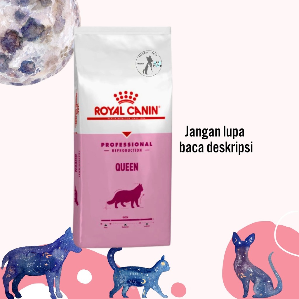 Royal Canin Professional Queen (SP) untuk Induk Kucing Hamil Menyusui