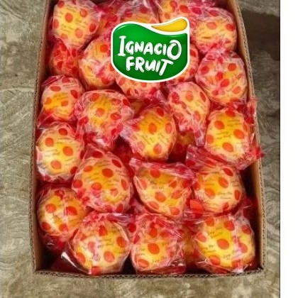 Instant JERUK LEMON  IMPORT PER KARTON 14kg /Sameday/Buah Lokal/Buah Import/Ignacio Box/Jakarta