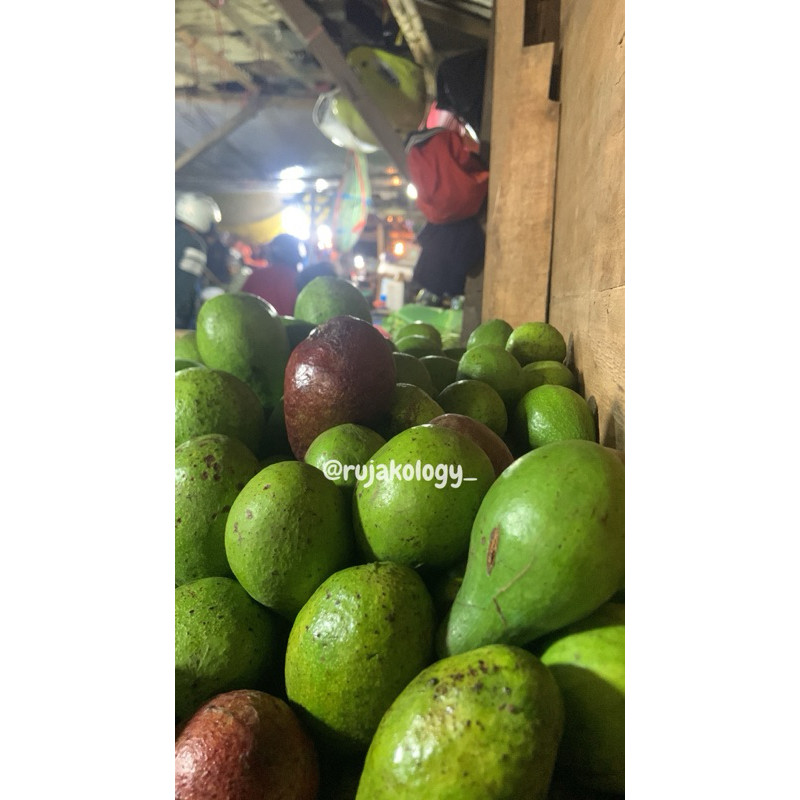 

^ ALPUKAT MENTEGA/ALPUKET MENTEGA FRESH ^