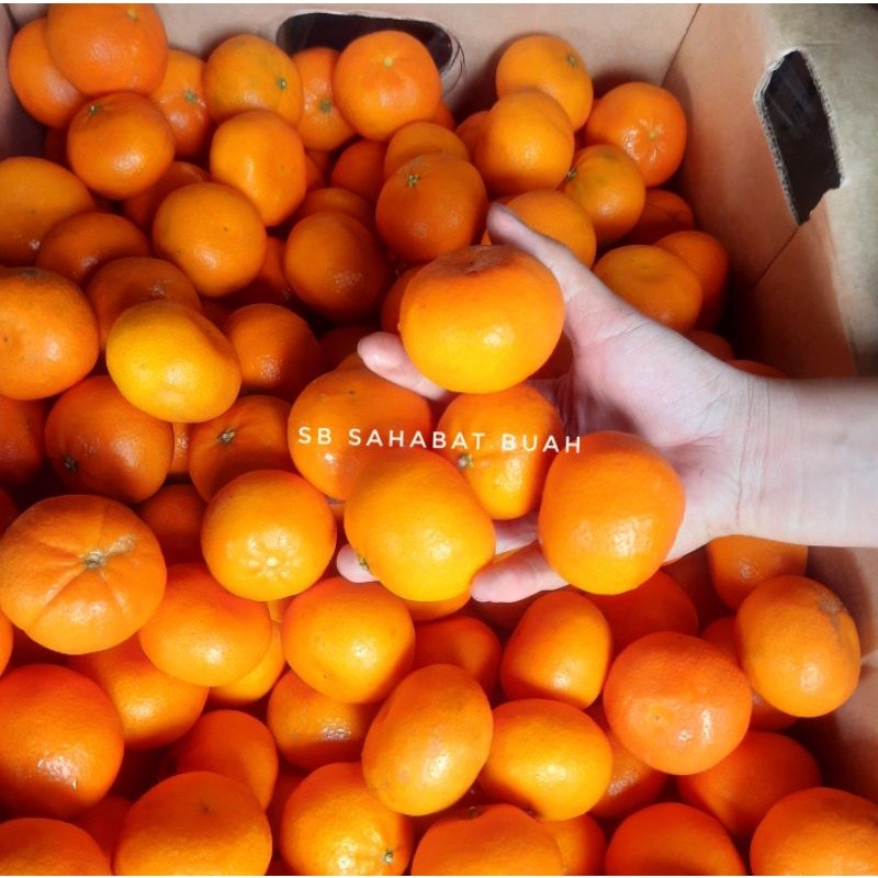 

BUAH JERUK SANTANG AUSTRALIA TANPA BIJI 500gr