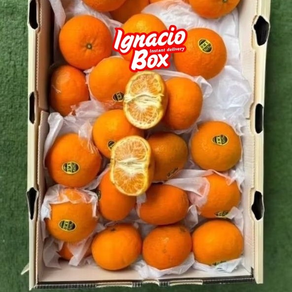 [INSTAN] Jeruk Honey Mandarin Murcot 1 Dus