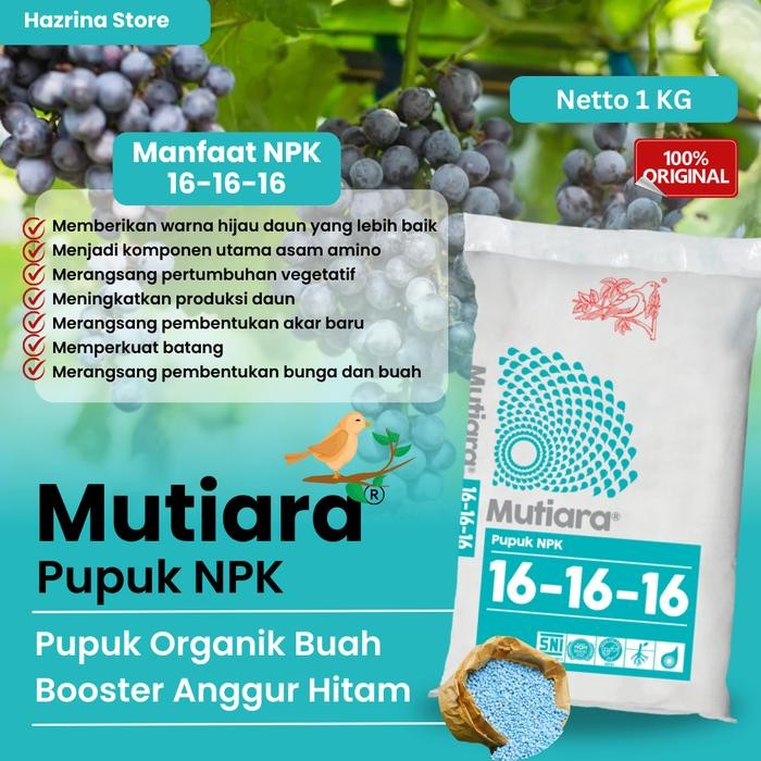Pupuk Booster Anggur Hitam NPK Mutiara – Super Pelebat Buah, Anti Rontok Bunga & Penyubur Tanaman