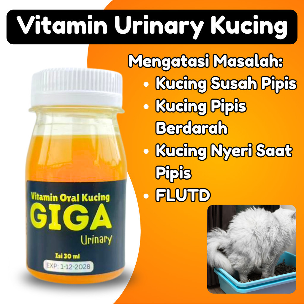 URINARY VITAMIN KUCING OBAT FLUTD KUCING SUSAH KENCING BERDARAH