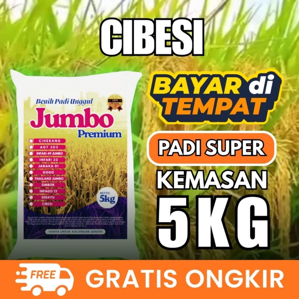Benih Padi Cibesi 5kg Original Nasi Pulen Unggul