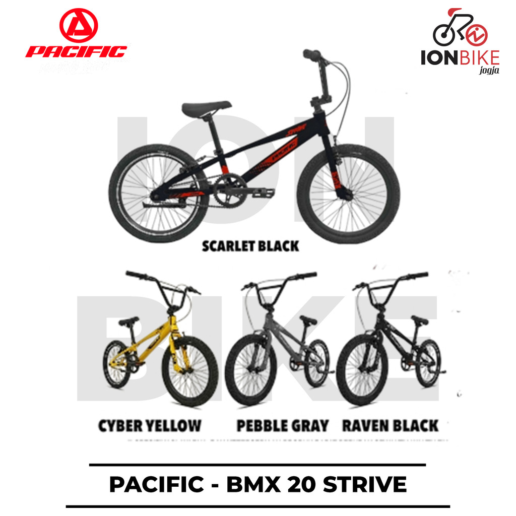 Sepeda BMX 20 PACIFIC STRIVE Ringan Terbaru Race Lomba Balap Anak SD SMP SMA Street Balapan DJ Dirt 