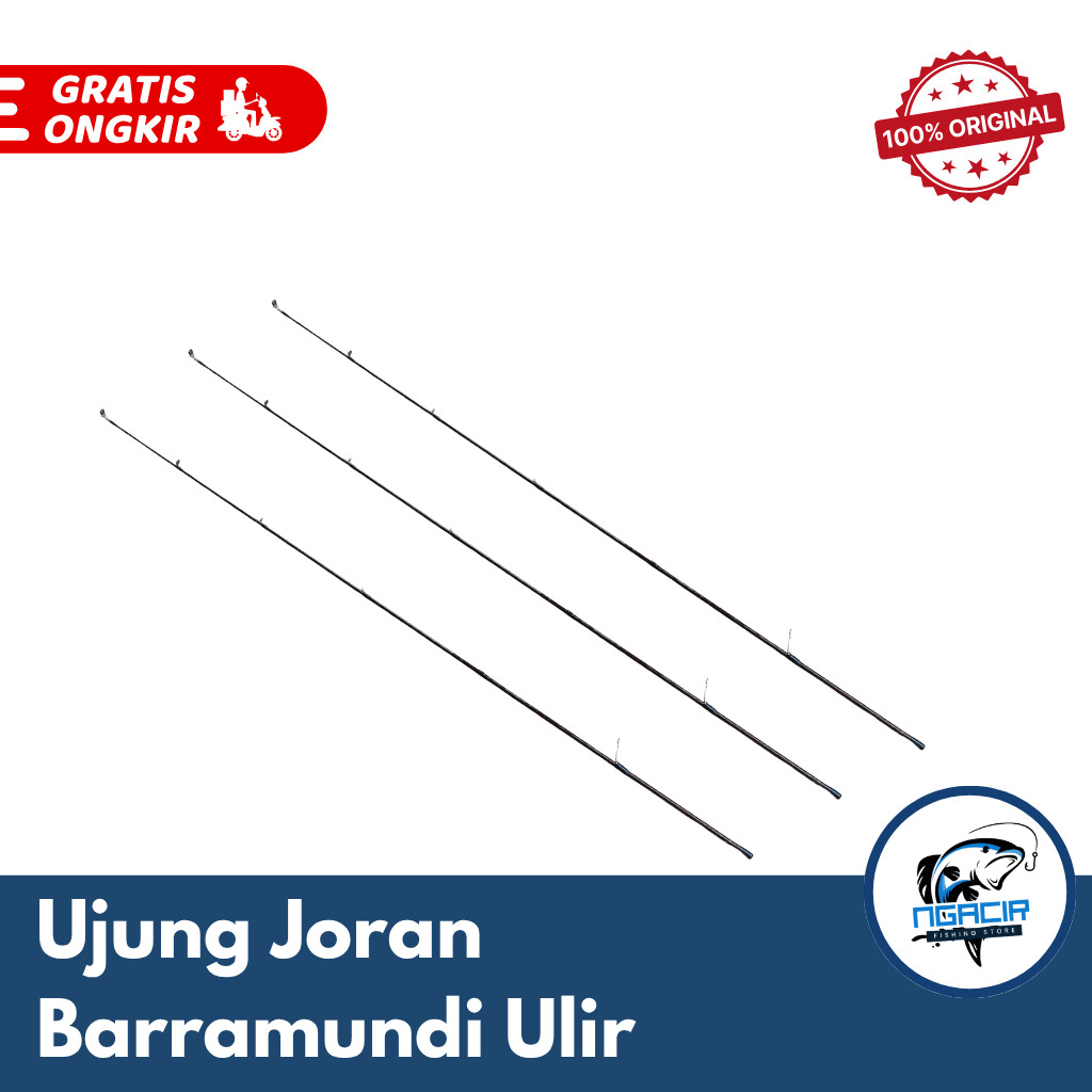 Ujung Joran Hinomiya Barramundi Ulir 180 cm - Top Section Hinomiya