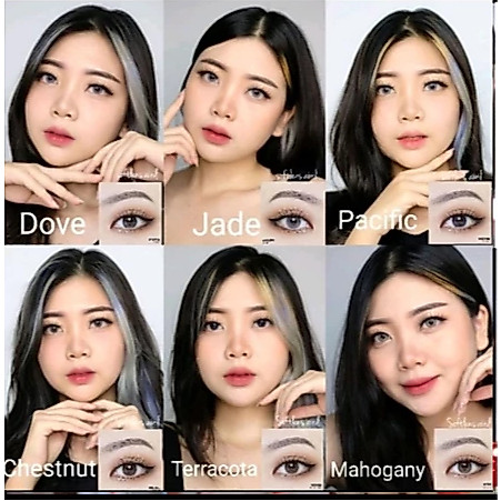 SOFTLENS X2 MOXIE MINUS DIAMETER 14,5MM BY EXOTICON MURAH