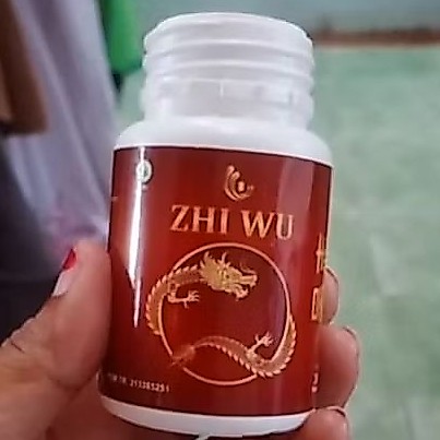 ZHI WU OBAT HERBAL CINA UNTUK SARAF KEJEPIT NYERI PINGGANG MENGHILANGKAN RASA SAKIT TANPA KETERGANTU