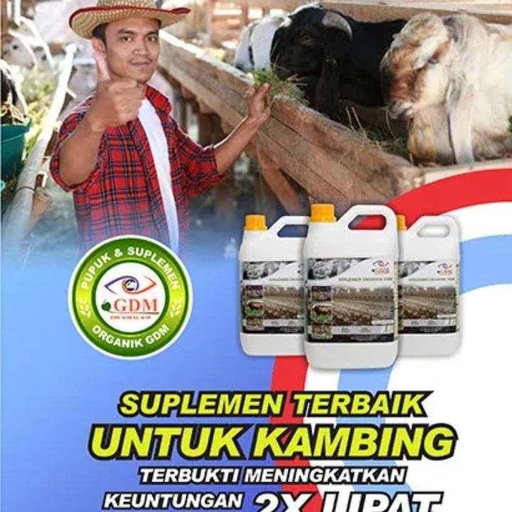 Suplemen / Probiotik Organik GDM untuk Kambing