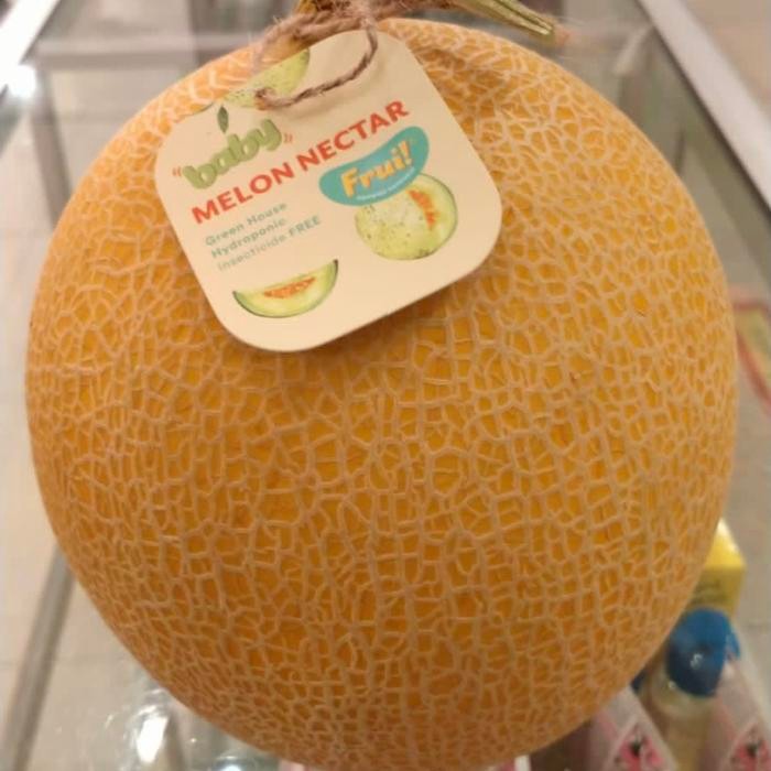 

melon nectar/ melon manis dan lembut 1,3 kg