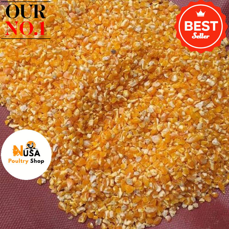 Nusaps - JAGUNG GILING PECAH PAKAN BURUNG MERPATI 1kg / JAGUNG BURUNG DARA / JAGUNG BURUNG MERPATI /