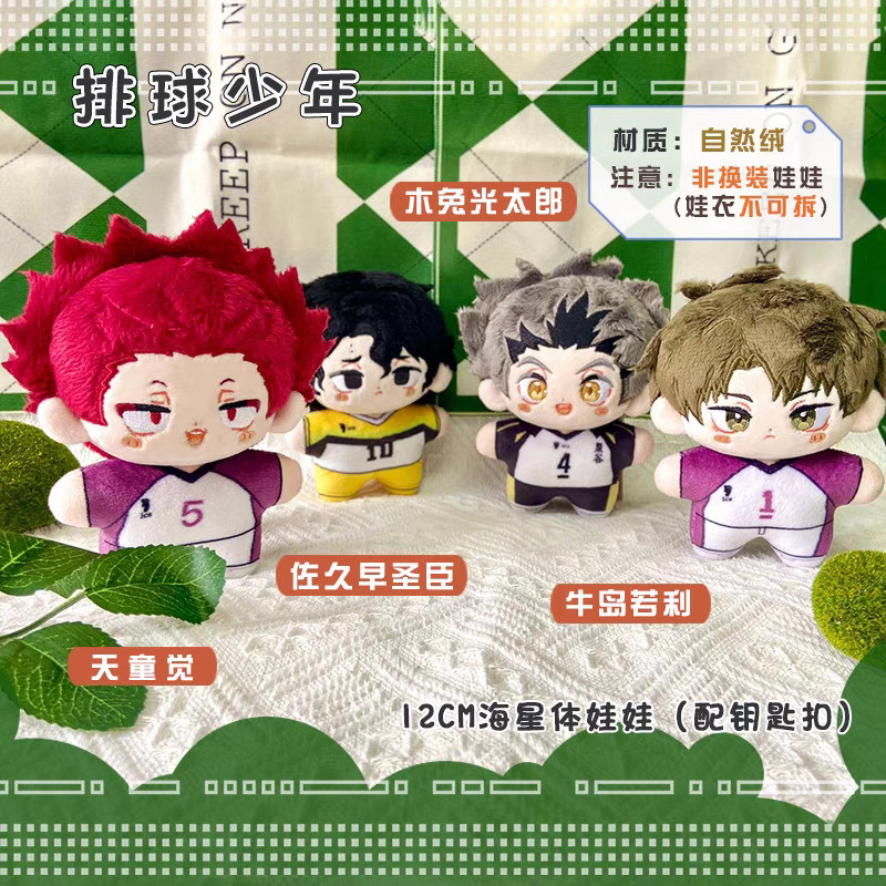 Haikyuu Volleyball Plush Ushijima Wakatoshi Kotaro Bokuto Tendou Tatori Sakusa Kiyoomi Anime Cosplay