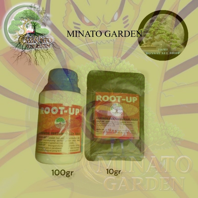 MG - ROOT - UP perangsang akar