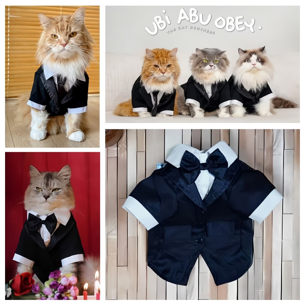 mimilove ⭐ Migo Design 86 ⭐ Baju Jas Hitam Premium Kucing/ Anjing / Pakaian AnaBul Kucing/  Anjing  