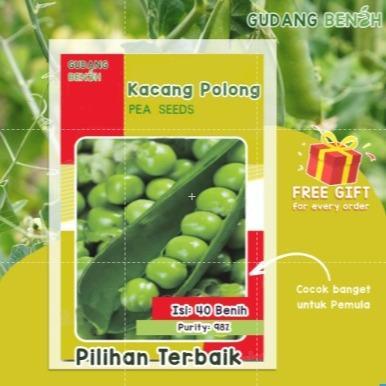 [TERBARU] Benih Tanaman Sayuran Kacang Polong Berkualitas Isi 40 Benih - S81 Kacang Polong