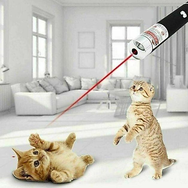 DOKUGAMIN Gantungan Kunci Red Laser Pointer Tunjuk Senter Lampu Mini 2in1 2 in 1 Red Dot Mainan Anak