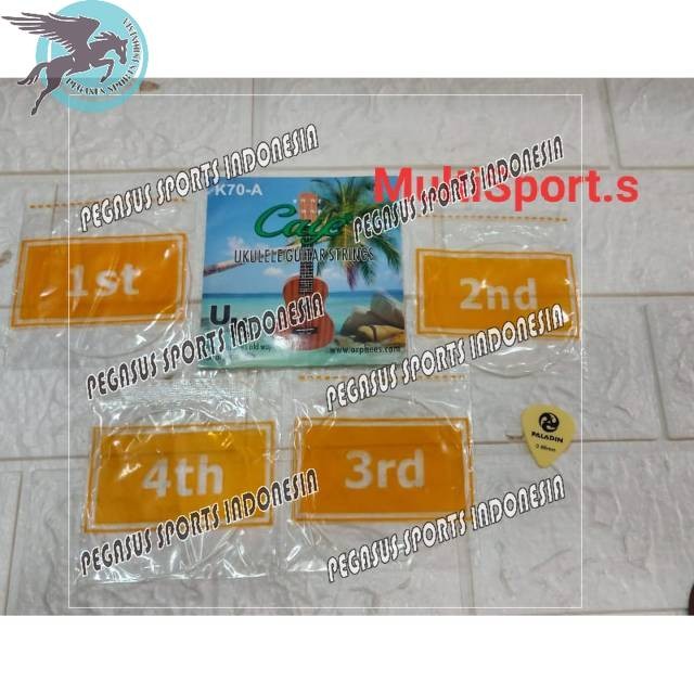SENAR UKULELE 1 SET CAYE