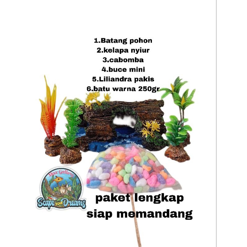 Hiasan Aquascape Aksesoris Aquarium Dekorasi Aquarium Paket lengkap 6in1