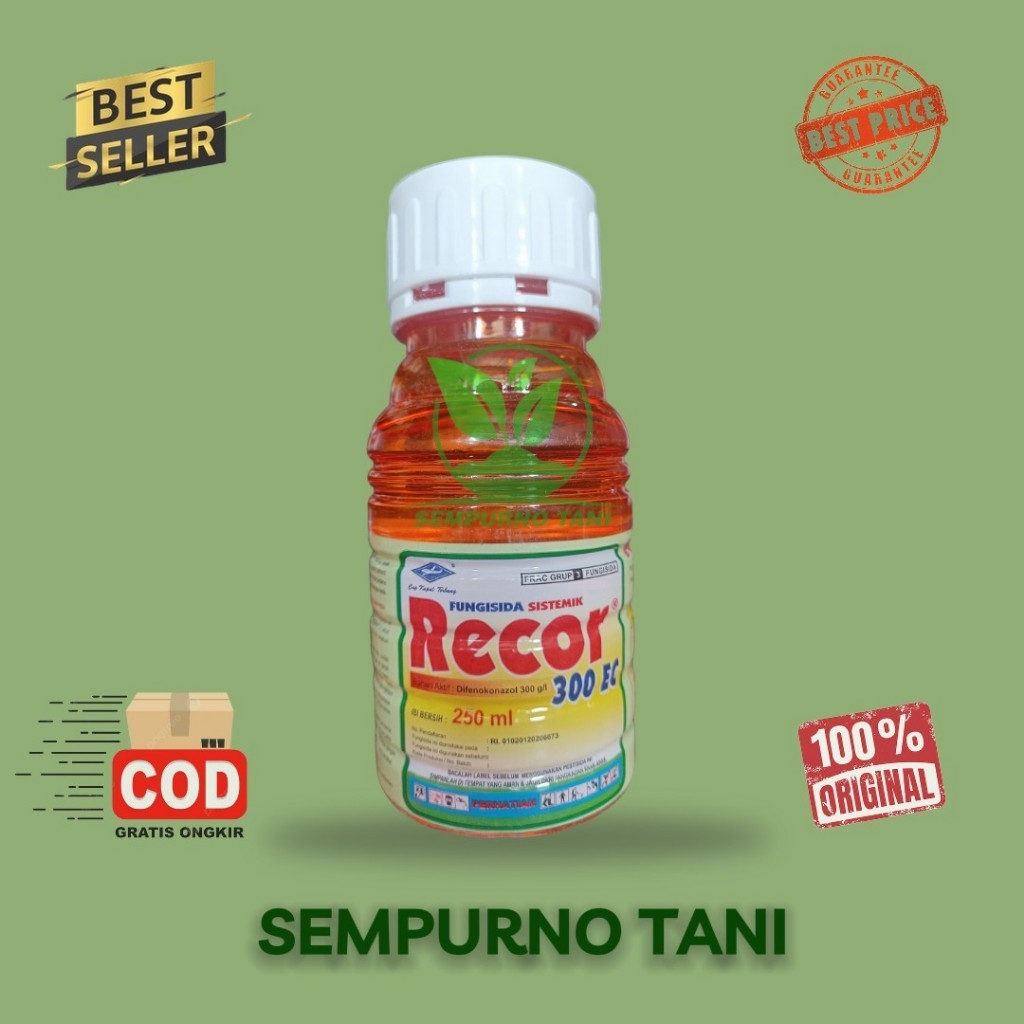 Fungisida Recor 300EC 250 ml Fungisida Sistemik Difenokonazol