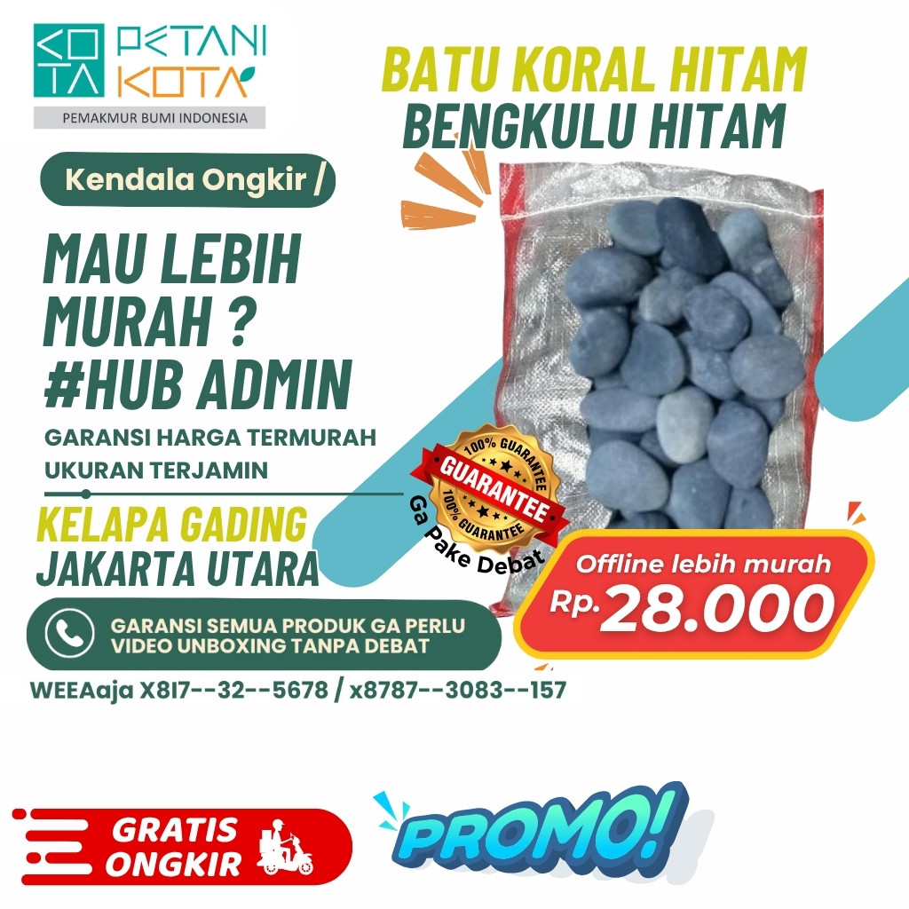Batu Hitam Bengkulu 1 Karung (Batu Alam Koral Hias Taman) Ukuran Kecil Sedang Besar Ready