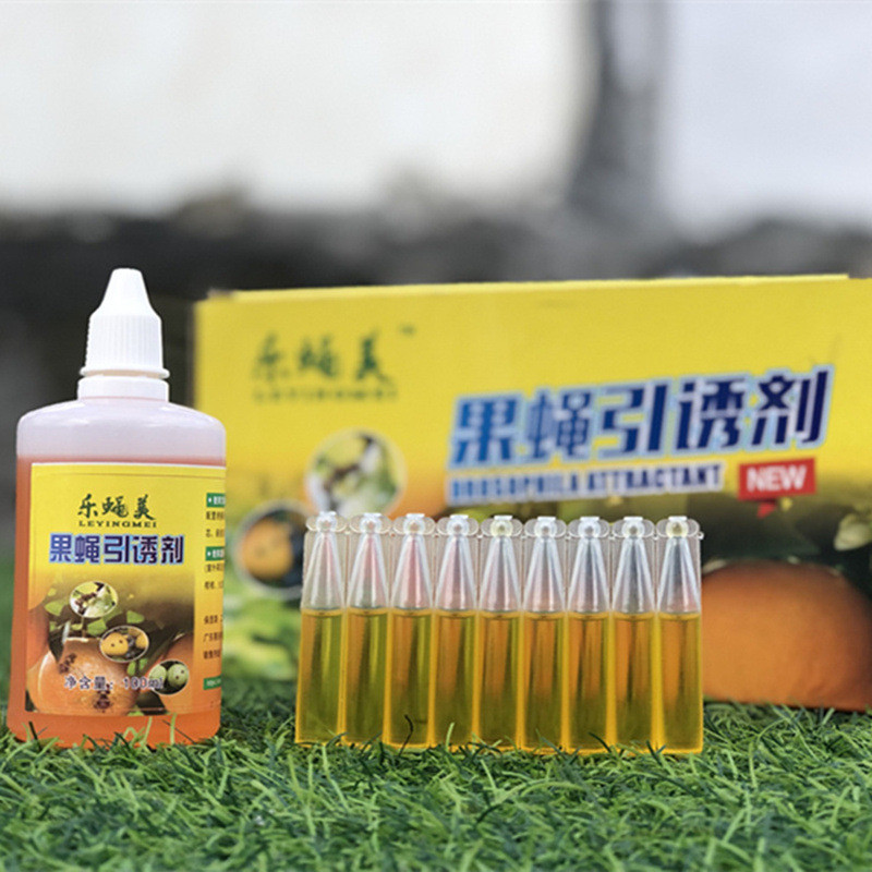 10Pcs Fruit Fly Attractant Liquid / Fruit Fly Killer / Trap Bait Premium Terbaik Berkualitas