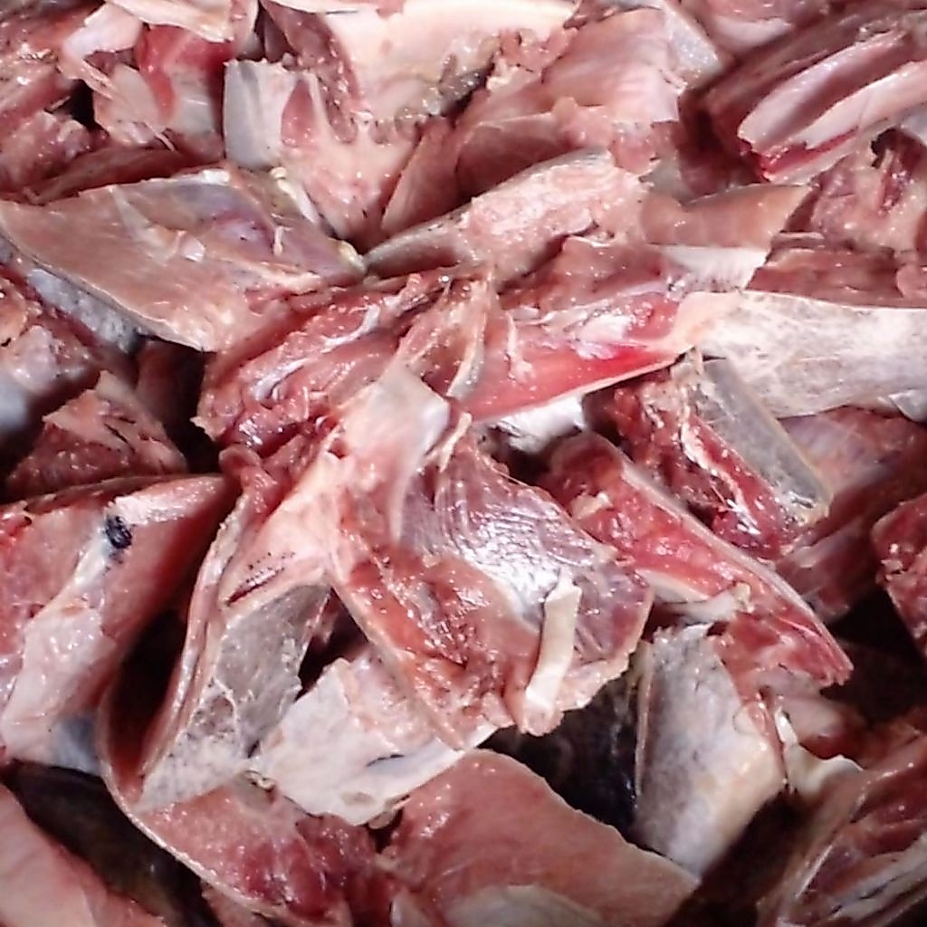 Rahang Tuna 1 Kg