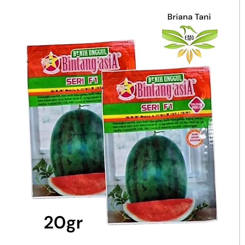 Seri F1 20gr Benih Semangka Non Biji Bintang Asia 100% Original Amara