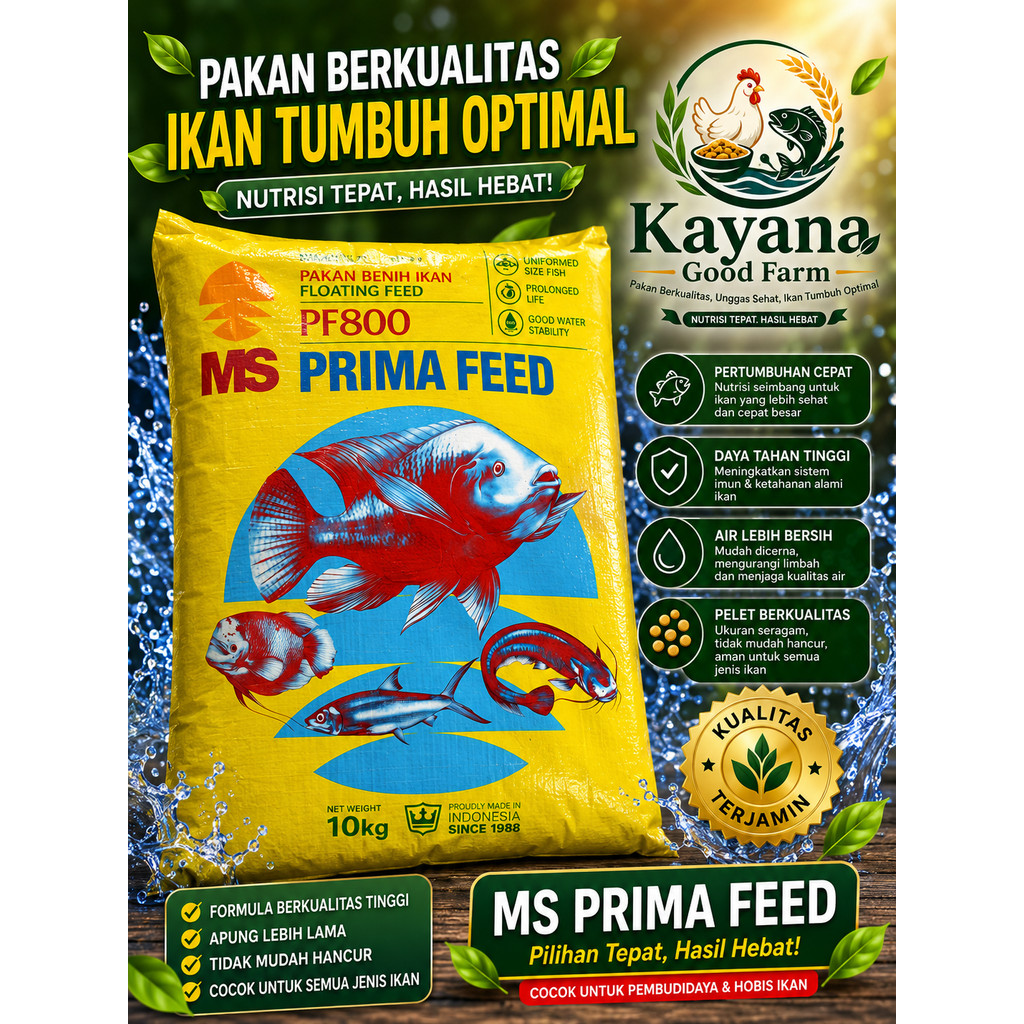 REPACK 1 Kg PF 800, by MS PRIMA FEED