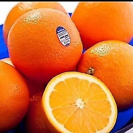 Jeruk Sunkist