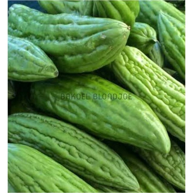 

PARE 5OOGRAM / BITTER MELON / FRESH VEGETABLES / VEGETABLE / SAYUR SAYURAN SEGAR BEST SELLER
