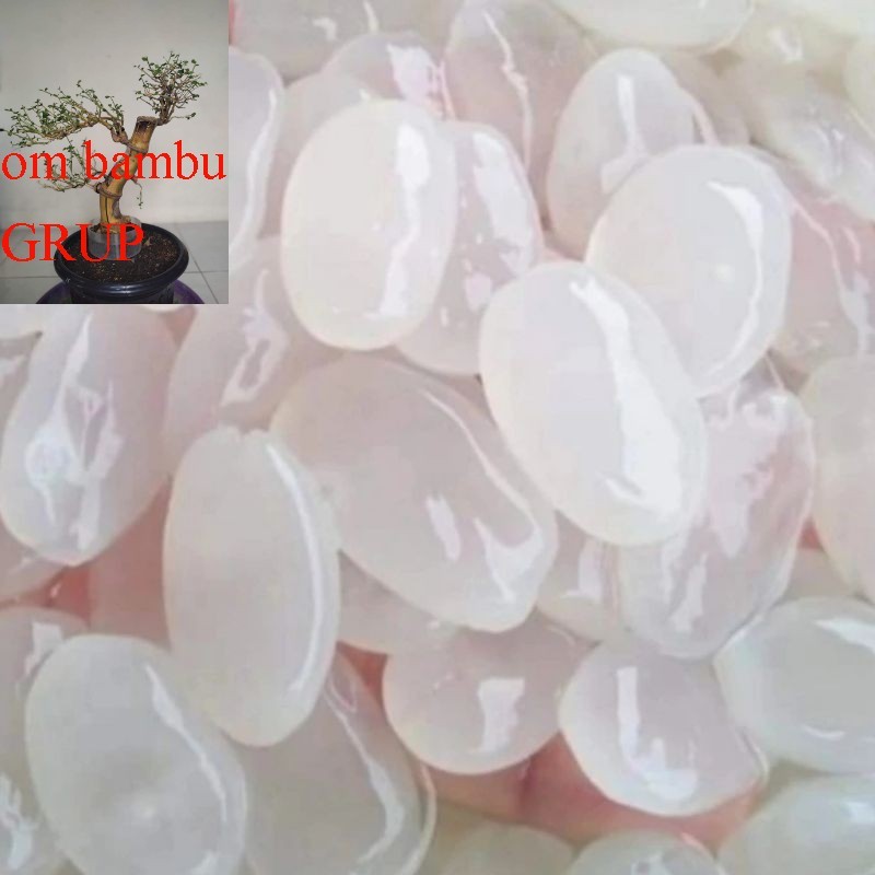 

kolang Kaling Medan super Tanpa Pengawet