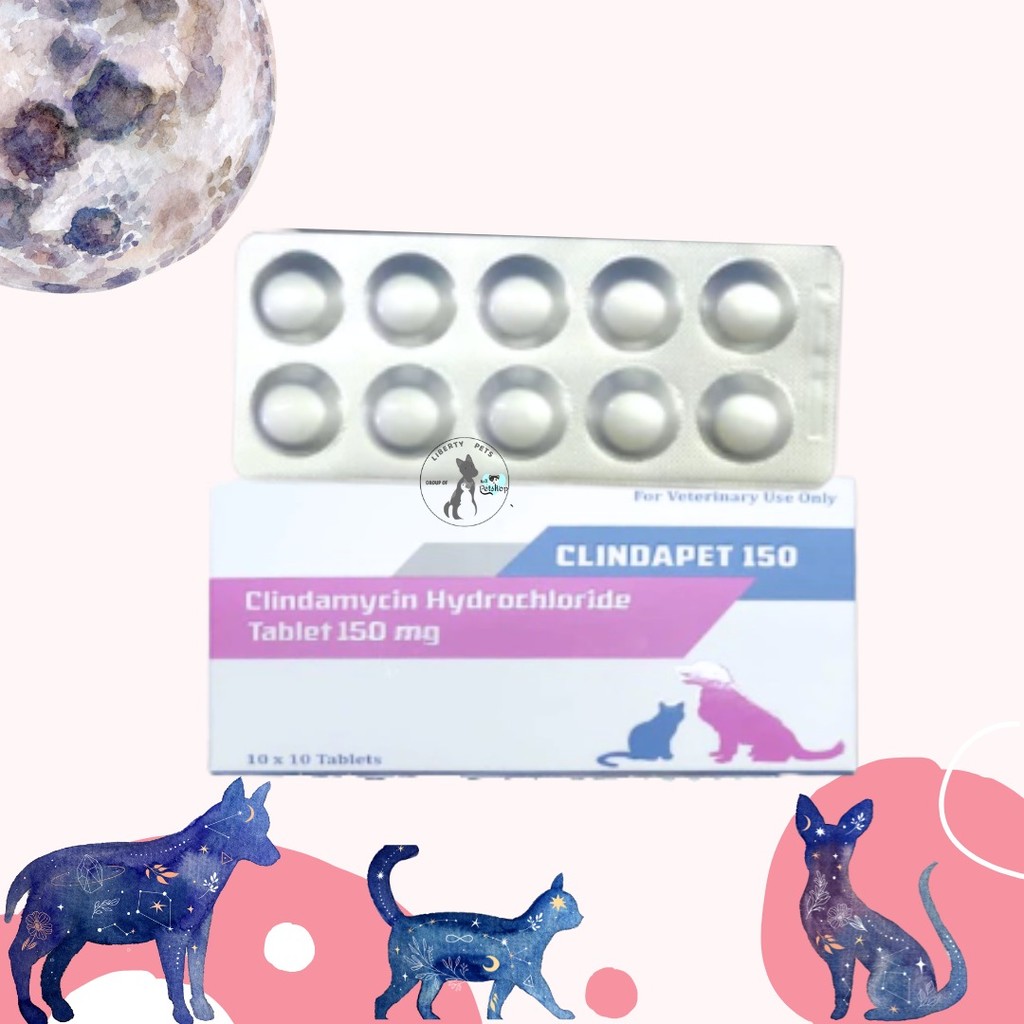 Clindapet Clindamycin 150mg For Cats & Dogs (1 BLISTER = 10 TAB) - Anti Bakteri / Infeksi Pada Kucin