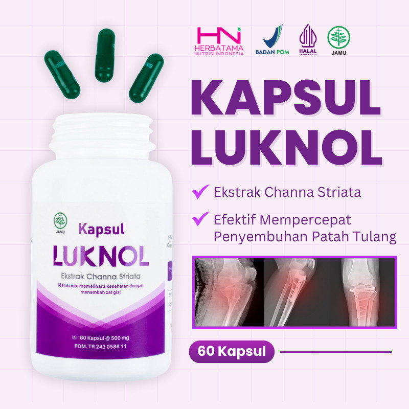 LUKNOL – Kapsul Ikan Gabus / Albumin Ikan Gabus  Original / Obat Patah Tulang / Obat Tulang