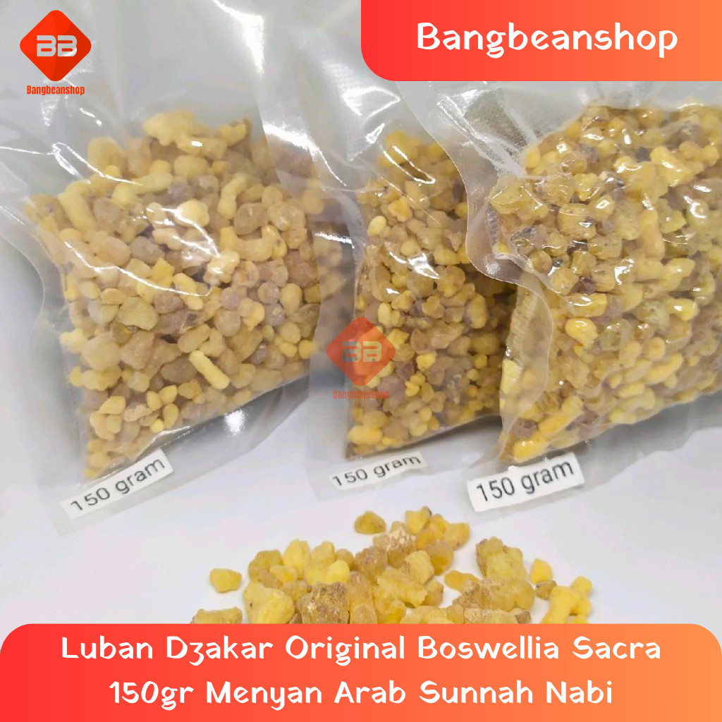 Luban Dzakar Original Boswellia Sacra 150gr Menyan Arab Sunnah Nabi