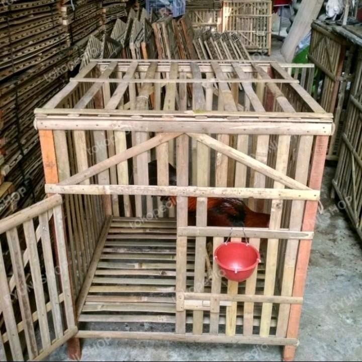 Kandang Ayam Bambu ukuran 70×70 Tenggaran